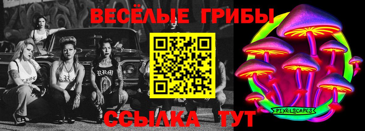 Саяногорск  Галлюциногенные грибы Psilocybine cubensis  Псилоцибиновые грибы GOLDEN TEACHER  Вход с VPN 